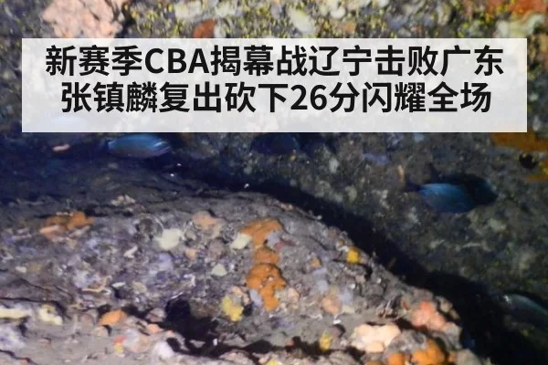 新赛季CBA揭幕战辽宁击败广东张镇麟复出砍下26分闪耀全场